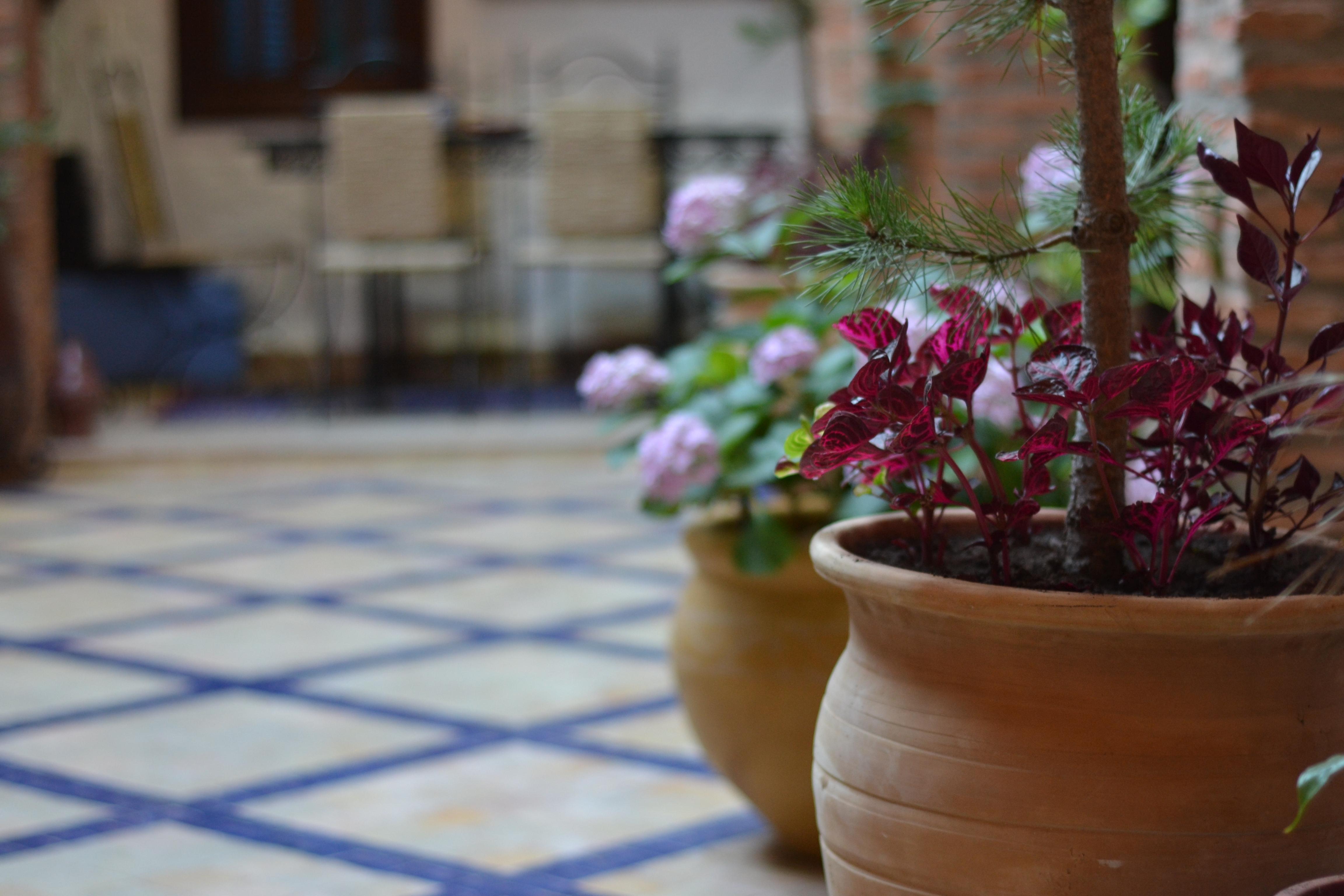 Riad Gharnata Chefchaouen Bagian luar foto